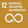 SDG-icon-EN-RGB-12